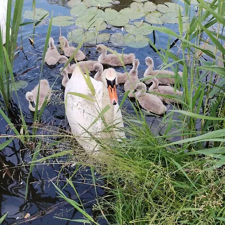 Nad Wodą Apartament *