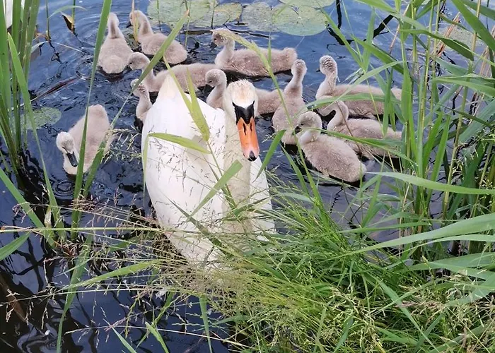 Nad Wodą Apartament *